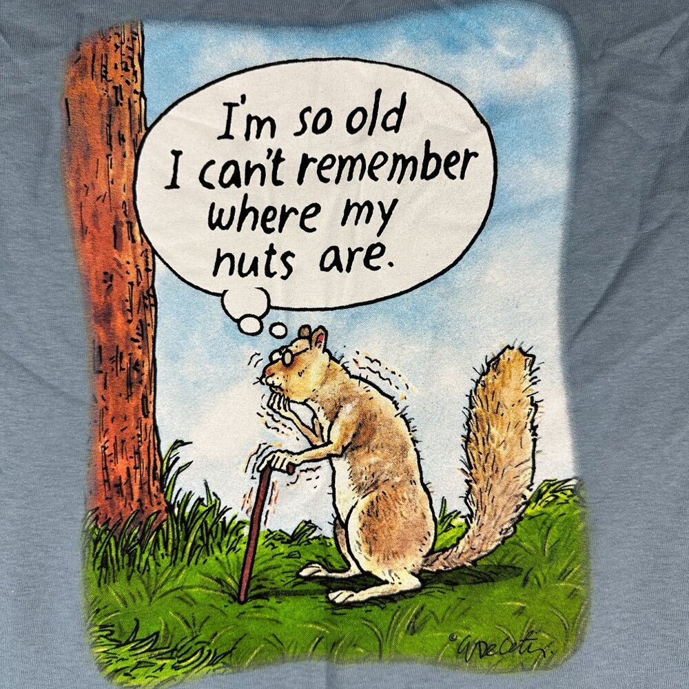 Gildan Ultra Cotton Mens Cartoon Squirrel Graphic T-Shirt Light Blue Size L